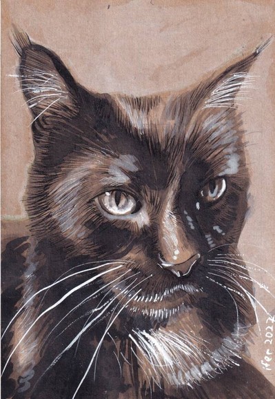 Portrait of a black cat, done in ink on cardstock. The cat has bright eyes, white whiskers on its cheeks and in its ears, and a white spot on its chest. There is a lot of fur and hilight detail.