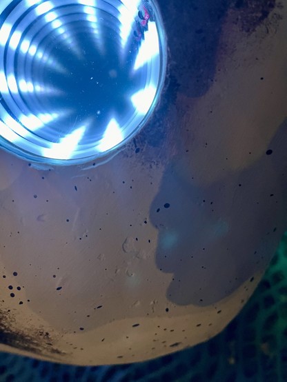 A (poor) close-up of the potato showing that the concentric rings of LEDs appear to disappear into endless wells in the object.
