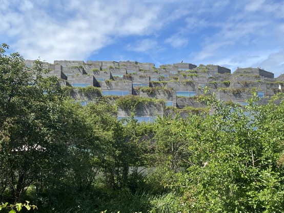 Wood structure housing complex with trees 