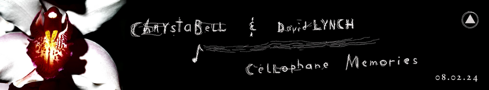 Header image from David Lynch's Bandcamp album page.
Text is "Chrystabel & David Lynch Cellophane Memories 08.02.24".
Image appears to be an orchid flower with white petals and crimson and yellow interior.