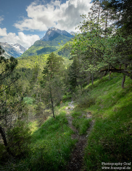 A picturesque scene captured in this image showcases a serene path winding through a lush, grassy area. Towering trees line the path, their branches reaching towards the clear sky above. In the distance, majestic mountains rise up, their peaks touching the clouds. The overall color palette of the image is dominated by shades of green and black, with a white foreground. The composition evokes a sense of tranquility and natural beauty, inviting viewers to imagine themselves walking along the peac…