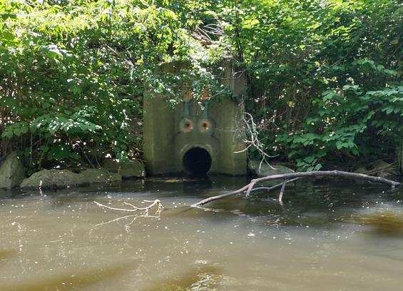 A concrete culvert outlet on the banks of a murky brook. Someone has spray-painted a pair of eyes over the round opening so it looks very surprised.