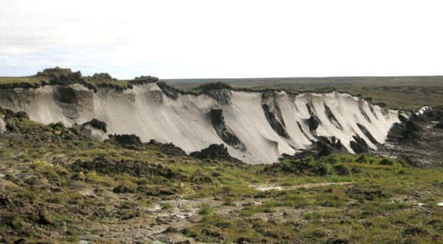 Permafrostböden enthalten neben Eisschichten auch viel nicht zersetztes organisches, gefrorenes Material – und das kann beim Auftauen zu Treibhausgasschleuder werden.© Georg Schwamborn/ AWI

Eine Entwarnung für den Permafrost bedeutet dies jedoch nicht – im Gegenteil, wie Nitzbon und seine Kollegen betonen. Denn wenn viele kleine lokale Kipppunkte nacheinander überschritten werden, bewirken sie zusammen einen schleichend zunehmenden, aber dennoch insgesamt starken Verlust des Permafrosts. Bei einer globalen Erwärmung von rund fünf bis sechs Grad könnte auch dadurch der gesamte Dauerfrostboden auftauen.

Anders als angenommen beginnt dieser Prozess jedoch nicht erst irgendwann in der Zukunft: „Das bedeutet, dass schon heute und auch in naher Zukunft mehr und mehr Gebiete unausweichlich vom Auftauen betroffen sind“, sagt Nitzbon. „Es gibt also keinen beruhigenden Erwärmungsspielraum, den man bis zum Schwellenwert noch ausreizen kann.“ Umso wichtiger sei es, die Treibhaus-Emissionen zu drosseln und den Klimawandel möglichst bald zu stoppen. 
