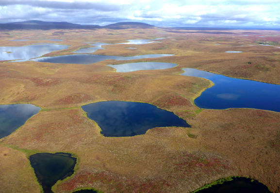 Thermokarst-Seen in Alaska. Sie bilden ein lokales Kippelement mit sich selbst verstärkender Wirkung. © Alfred-Wegener-Institut / Josefine Lenz

Ein Beispiel für ein solches lokales Kippelement ist die Bildung sogenannter Thermokarst-Seen. Dabei schmelzen die Eisschichten in den Permafrostböden und dies lässt die Oberfläche einsinken. In diesen Senken sammelt sich dann Schmelzwasser und bildet dunkle Seen, die viel Sonnenwärme absorbieren. Dadurch verstärkt sich die Erwärmung des Untergrunds weiter und es entsteht ein sich selbst erhaltender Tauprozess in dem Gebiet um den See. Auch arktische Brände können sich selbst verstärkende Rückkopplungen bewirken – aber ebenfalls eher lokal und regional.