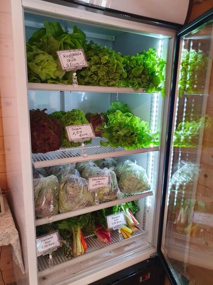 Ein Kühlschrank mit verschiedenen Salaten und Gemüsen, u.a. Kopfsalat für 2 EUR, Lollo-Rosso-Salat für 1,50 EUR und ein Bund Mangold für 2,50 EUR.