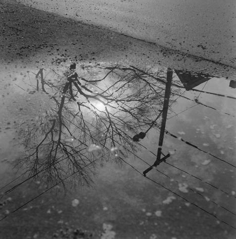 Square black and white photo of a leafless tree, utility wires, a telephone pole, the peak of a house’s roof, and a cloudy sky reflected upside down in a puddle with some wet road surface visible in the upper ⅓ of the image.