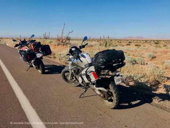 Two motorcycles packed with sidecases and top bags, a BMW F850 GS in front, behind it a BMW G310 GS. They are parked on the emergency lane of an asphalt road through a desert, a view cacti, some shrub, all pale colors, in the far distance a redisch mountain range, like sand dunes. It is the Sonora desert in Mexico. Blue sky above. 