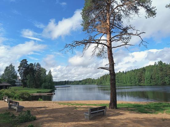 A lakeside - a blue sky and white clouds 