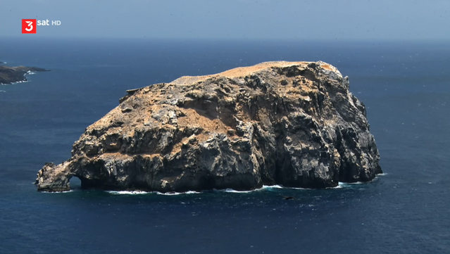 In spectacular pictures, the film shows the diversity of the islands in the Atlantic – from polar foxes on Iceland to land crabs and sea turtles in tropical latitudes to albatrosses and penguins on the edge of Antarctica.

Iceland, Ascension and Tristan da Cunha are examples of islands that owe their existence to the volcanic activity of the Mid-Atlantic Ridge. Its secluded location makes it the ideal home for sea birds and seals. In the south of the Atlantic, island groups such as Falkland and South Georgia, on which fascinating animal colonies can be found, are also located away from the Central Atlantic ridge.