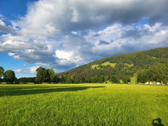 A picturesque scene of a large green field stretching out under a cloudy sky, with tall trees dotting the landscape and a gentle hill rising in the background. The vibrant green grass sways in the breeze, creating a peaceful and serene atmosphere. The white clouds above add depth to the scene, contrasting beautifully with the lush greenery below. The rural setting exudes a sense of tranquility and natural beauty, making it a perfect spot for outdoor activities or simply enjoying the peaceful su…