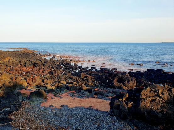 View of the ocean along with red algae and black volcanic rocks at the southern coast of Jeju Island, South Korea