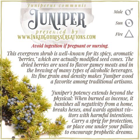 A sprig of juniper with leaves and berries sits against a white background. The text explains juniper's metaphysical correspondences, some trivia about it, and ways to use it in your magickal practice. Presented by Inked Goddess Creations.