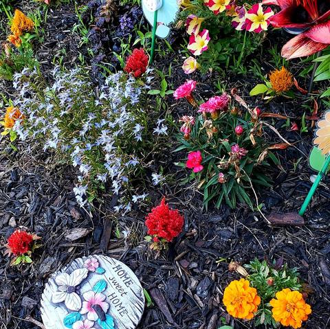 A small patch of decorative mulched garden with small, bright flowers of many varieties in blue, yellow, and red. A circular paver with flowers and butterflies proclaims "Home, Sweet Home."