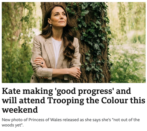 Princess of Wales leaning against an ivy covered tree with  a byline saying that she's 