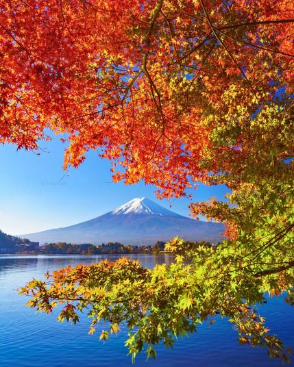 Autumn in Japan.