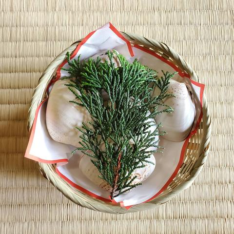 Hamazuto, a jellied sweet served in a real shell.