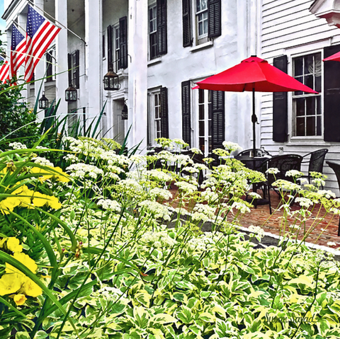 On this charming patio, red umbrellas stand out against a traditional white building adorned with an American flag. In the foreground, lush green plants and white flowers add a natural touch to the quaint outdoor seating area.