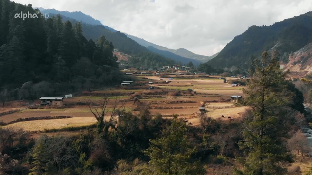 The small Asian country of Bhutan is also called the "land of happiness". But the last kingdom in the Himalayas is much more than that. With one foot in the Middle Ages and the other in the digital age, the Bhutanese have to master a unique balancing act. The film tells of their challenges: those of the young yak herder, the committed organic farmer, the five-year-old monk and the old archer. It reveals a unique look behind the tourist facade and shows what makes the wonderful world of Bhutan so special.