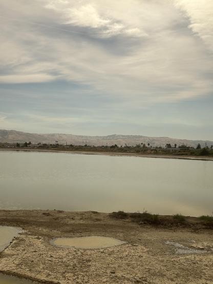 Picture out the window of the Amtrak Coast Starlight of cloud reflected in water (salt pond).