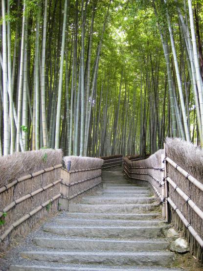 Like much of Sagano, Adashino Nenbutsu-ji is surrounded by bamboo groves.