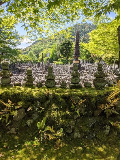 Summer time at Adashino Nenbutsu-ji.