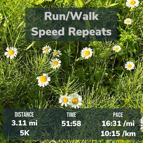 Text overlay on a field of daisies with the following details: "Run/Walk Speed Repeats. Distance: 3.11 mi, 5K. Time: 51:58. Pace: 16:31/mi,10:15 km. 
