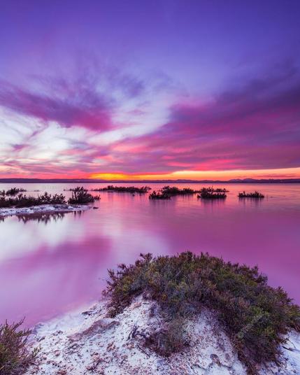 Pink Lake in Torrevieja, Spain