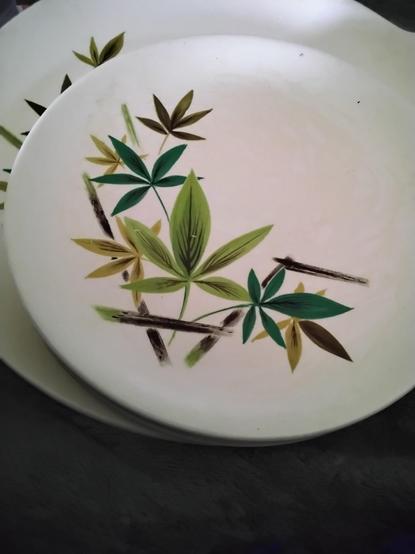 Round, off white plates with a green and brown pattern of 5 leaf branches. So many people look at them and say dude, your plates have weed on them, which says something about the people I know 