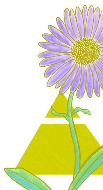 Ilustración a línea amarilla y mancha a color de un aster (muchos pétalos violetas). Detrás, aparece un triángulo equilátero amarillo apuntando con su vértice hacia arriba atravesado por una línea blanca cerca de su vértice.