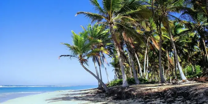 ✈️ Karibik Urlaub: Die 13 schönsten Inseln für deinen Traumurlaub 🌴