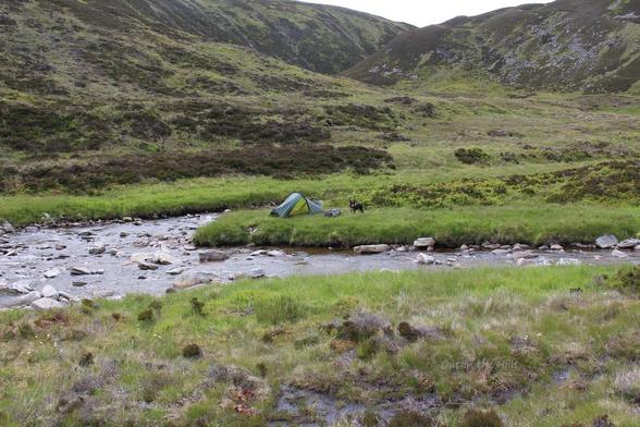 Looking across a river in a grassy and heathery glen. My snall tent is pitched the other side, and Moray the dog is stood watching me. Steep hills at the back.