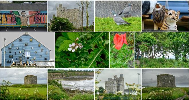 Collage of colourful photos from Balbriggan, Ireland