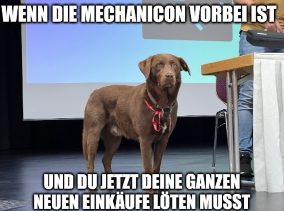 Besagter Hund, mit leicht besorgten Gesichtsausdruck. Text: "Wenn die Mechanicon vorbei ist und du jetzt deine ganzen neuen Einkäufe löten musst