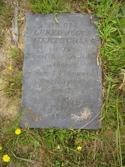 Das Foto zeigt den Grabstein für Alfred August Miertsching, der nur zwei Tage alt wurde, und seines ungetauften Zwillings, der gleich nach der Geburt starb. 