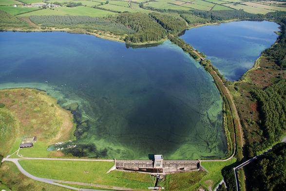 An aerial view of a small reservoir for public potable water, heavily affected by a late summer cyanobacterial bloom. The reservoir is green, with particular concentrations of cyanobacteria near the shores, driven there by wind.