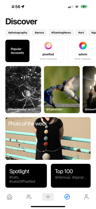 Pixelfed Discover