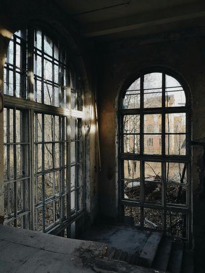 dilapidated green house covered in grime and dry foliage