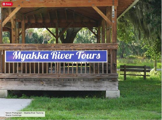 Picture of Myakka River Tours porch with a bench for waiting on the right by Sharon Cummings.