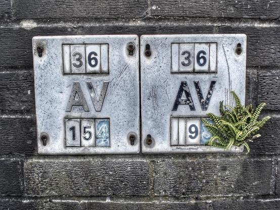 Two AV plaques on a wall. Grey weathered metal with the number 36 and AV in large black embossed text. Mounted on blackened brick wall with some green algae evident. The right hand plaque has a small fern like plant growing out of one corner, green with white variagated edges.