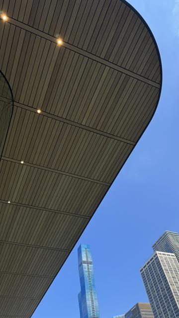 Apple Store roof and part of Chicago skyline