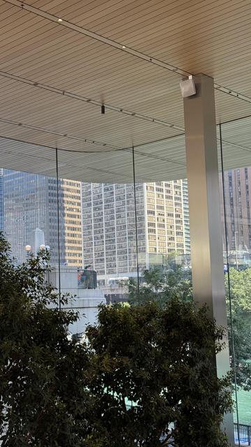 Inside Apple Store looking out with trees, roof and curved glass walls visible. 