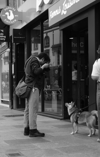Man photographs his dog