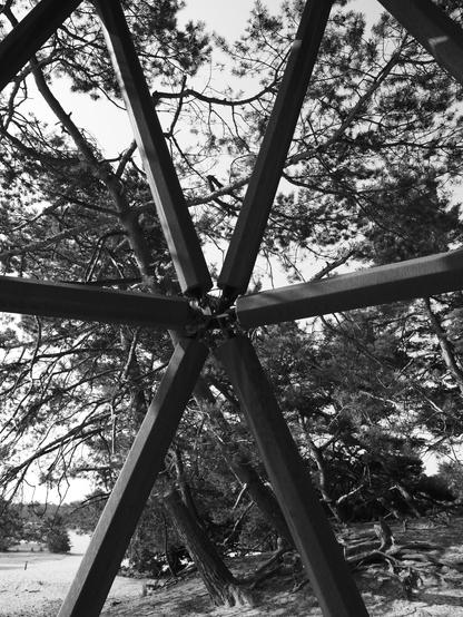 Six supports for the structure, joined together on the centre of the picture.  Trees behind