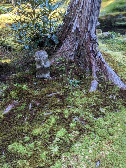 In the moss garden at Sanzen-in stands one of a group of famous little statues known as Warabe Jizo.
