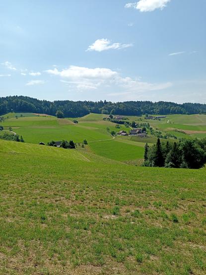 Aussicht über Wiesen, Wald und blauer Himmel mit einigen schneeweissen Wölkchen.