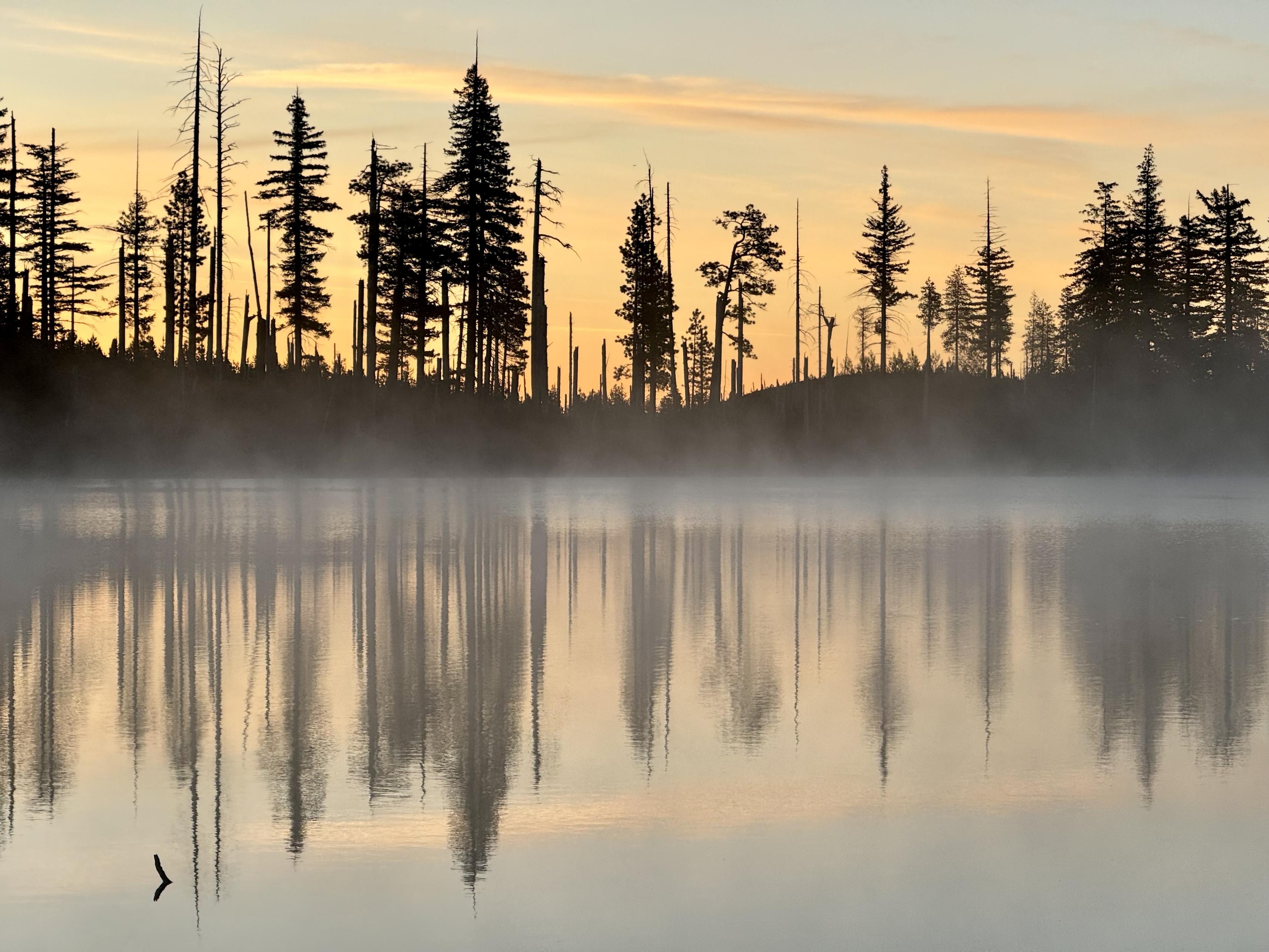 Sunrise at Round Lake. An orange sky and lake shore tree line reflect into a light mist on Round Lake. Streaks of clouds in the sky.