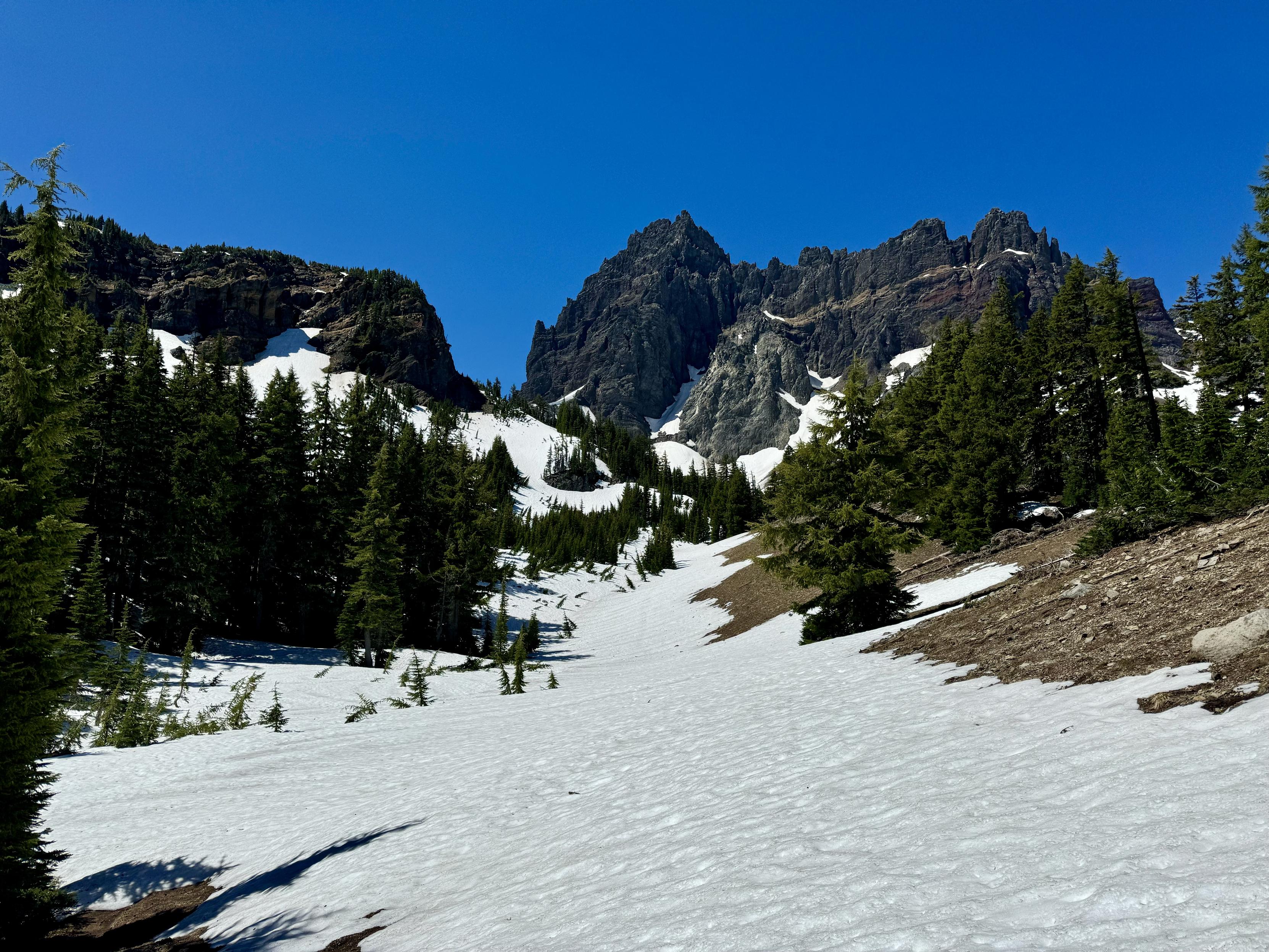 A view of Three Fingered Jack from the northeast. A white snowy slope ascends to the foot of the mountain. Patches of tall green trees scattered throughout. The mountain peak is dark solid rock. Beautiful dark blue sky.