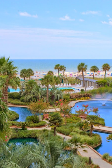 12 free adventures for your family on Hilton Head Island