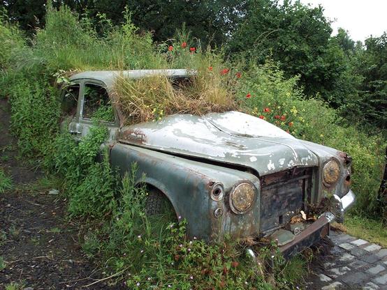 same car a little further back showing more red poppies behind with yellow rattle wild flowers