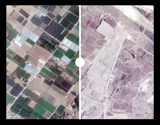 Before (left) and after (right) satellite images of farms, with functioning green fields on left and bare ground and vehicle tracks on right
